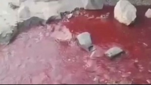 Misterio por las aguas rojas en Tomé: Detectan toxicidad en el estero, pero no logran identificar su origen