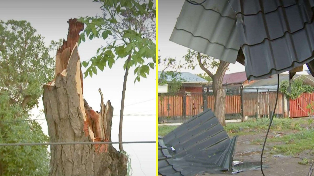 Así amaneció Estación Central tras el tornado: Techos destruidos, árboles caídos y escombros