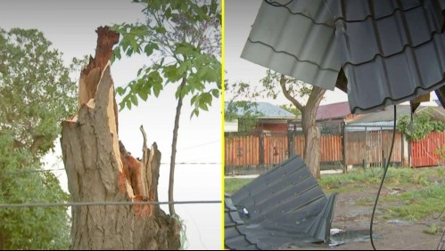 Así amaneció Estación Central tras el tornado: Techos destruidos, árboles caídos y escombros
