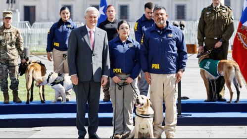 Kast presenta resultados de operativos contra el narcotráfico: Se incautaron 100 toneladas de droga