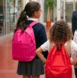 El Bono Logro Escolar es un beneficio económico destinado a estudiantes de enseñanza básica y media que pertenecen a familias vulnerables y que destacan por su rendimiento académico.