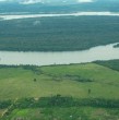 La deforestación anual en la Amazonía brasileña alcanzó su nivel más bajo desde el inicio de los registros históricos en 1988, según datos oficiales presentados el viernes por el gobierno.