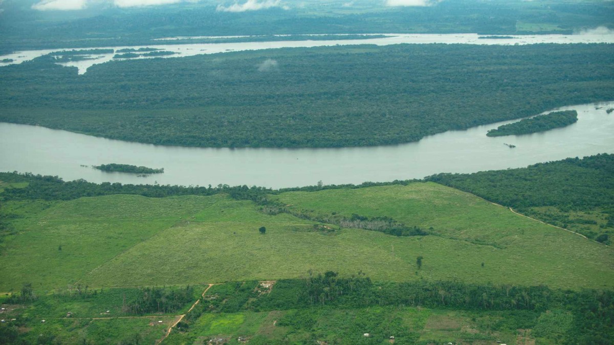 Deforestación en la Amazonía de Brasil registró su nivel más bajo en casi 40 años