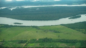 Deforestación en la Amazonía de Brasil registró su nivel más bajo en casi 40 años