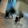 Dos ciudadanos chilenos arriesgan la pena de muerte en Indonesia, luego de ser detenidos en el aeropuerto de Bali con un cargamento de cocaína. Ambos llegaron a la isla en un vuelo que comenzó en Santiago.