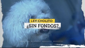 ¿Ley Cholito sin fondos?: Presupuesto 2027 contempla recorte del 86%