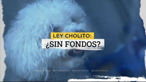 A casi 10 años de la Ley Cholito, el presupuesto 2027 contempla reducir sus fondos en un 86%
