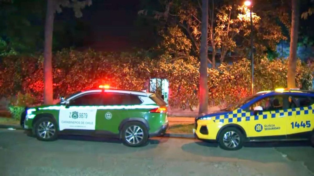 Nueve extranjeros detenidos tras robo en empresa de Ñuñoa: Intentaron escapar por techos de viviendas