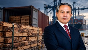 Narcomaderas: juez suspende destrucción de la carga de exportadores bolivianos y autoriza peritaje independiente