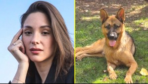 La dura pérdida que enluta a Kel Calderón: Denunció que su perrito murió envenenado y ofrece recompensa para dar con responsable
