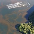 El Gobierno declaró una Emergencia Preventiva por floraciones algales nocivas en 15 regiones de Chile. La medida regirá desde el 1 de noviembre hasta el 30 de junio de 2027 para reforzar la preparación ante posibles riesgos sanitarios y ambientales.