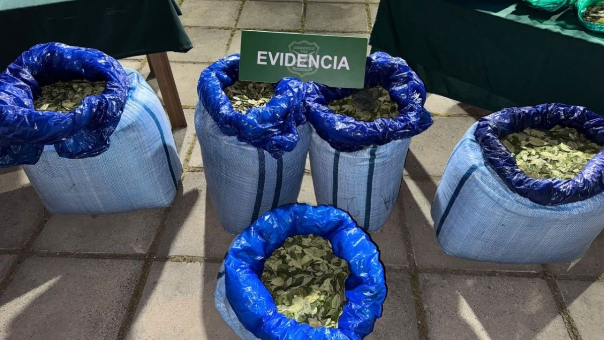 Incautan más de 100 kilos de hojas de coca y detienen a seis ciudadanos bolivianos en Pudahuel y Melipilla