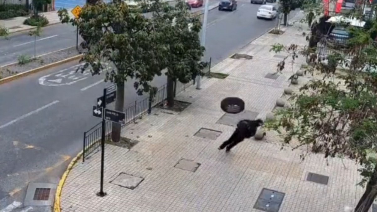 Video muestra momento en que rueda de auto se desprende y golpea a estudiante en Providencia