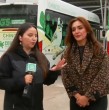 La Corte Suprema le prohibió a la Municipalidad de El Monte el despliegue de sus buses de acercamiento gratuitos debido a la oposición legal que presentaron los colectiveros de la comuna. ¡Detalles!