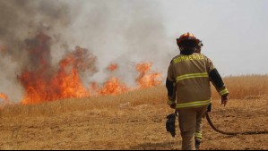 Visor Chile Preparado: Conoce si tu lugar de residencia está expuesto a incendios, tsunamis o erupciones volcánicas