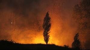 ¿Cómo prepararse ante posibles incendios forestales? Este es el kit básico de emergencia