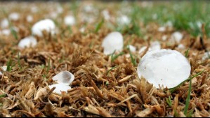 Emiten aviso por lluvias, vientos intensos y hasta granizo en Florianópolis: Este es el pronóstico del tiempo