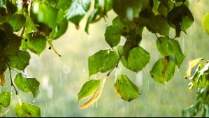 Caída de temperatura, vientos y chubascos en la zona sur: ¿Qué ciudades serán más afectadas?