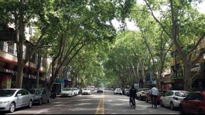 Suben las temperaturas en Mendoza: Este es el pronóstico del tiempo para el fin de semana