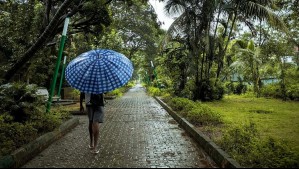 24 horas de lluvia en seis regiones: Alejandro Sepúlveda da detalles del sistema frontal que afectará al país