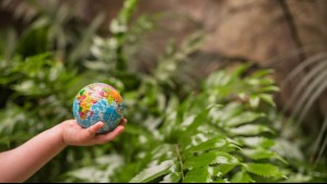 ¿Por qué se celebra el Día Mundial del Clima? Una fecha que alerta sobre el cambio climático