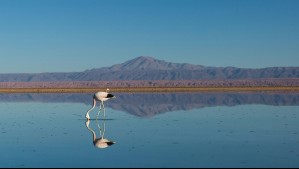 Revisa el pronóstico del tiempo para San Pedro de Atacama: ¿Lloverá durante Semana Santa?