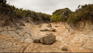 ¿Llegará el fenómeno de La Niña Costera a Chile? Jaime Leyton responde