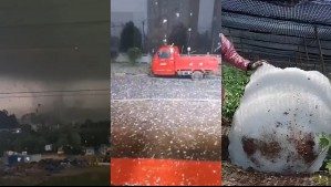 Los impresionantes videos de los tornados y granizos gigantes en China: Hay cinco víctimas fatales