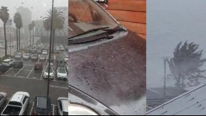 Los videos del temporal en el sur: Granizada en Valdivia y vientos de hasta 90Km/h en Concepción