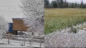 Nieve y granizo en varios lugares: Estos videos muestran cómo se comporta el temporal en el sur del país