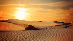 Científicos anuncian la fecha de extición de la vida en la Tierra: Olas de calor intensas aceleran el colapso