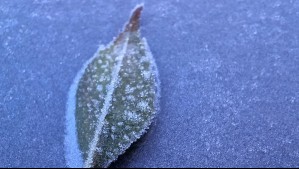 'Si usted siente frío ahora, prepárese': Así será el drástico descenso de las temperaturas en Santiago
