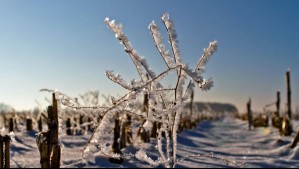 Lo que no se debe hacer durante una helada: Estas son las recomendaciones oficiales