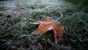Drástico cambio de temperaturas en Biobío: Conozca el pronóstico del tiempo para sábado y domingo