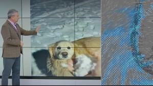 En estas dos regiones 'van a tener que palear bastante nieve para entrar a las casas': Pronóstico de Jaime Leyton
