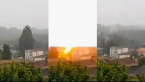 El impactante video de un rayo que destruye un árbol de 30 metros de altura por la mitad