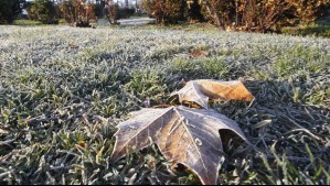 Heladas y viento de hasta 40 km/h en Chillán: Este es el pronóstico para los próximos tres días