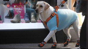 Así de fríos serán el sábado y domingo en Biobío: Soplarán vientos de hasta 40 km/h en estas localidades