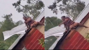 Video viral: Mujer enfrenta intensos vientos del huracán Beryl para evitar perder el techo de su casa