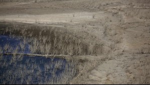 Menos lluvia y olas de calor más intensas y extensas: Así sería el impacto de La Niña en Coquimbo según Jaime Leyton