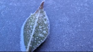 Lunes de extremo frío en Santiago: Autoridades emiten aviso meteorológico por heladas que podrían ser moderadas