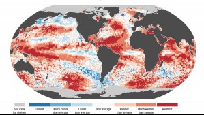 Nuevo récord en 2024 por el cambio climático: Junio es el mes más caluroso de la historia del planeta