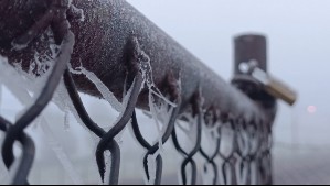 'Chile y Argentina son los países más fríos del mundo en este momento': Este video lo demuestra