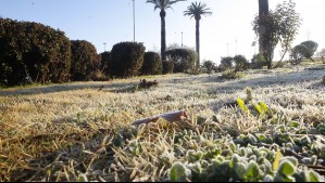 Severas heladas disparan advertencia agrometeorológica: Estas son las siete regiones afectadas