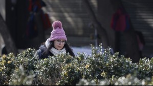 Continúan las temperaturas bajo 0°C en siete regiones: Estas son las ciudades que tendrán heladas este sábado