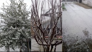 Bajas temperaturas en Chillán este fin de semana: Este es el pronóstico del tiempo actualizado