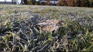 Hasta -5°C en esta localidad: ¿Dónde habrá helada este jueves 18 de julio?