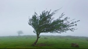 Este es el fenómeno que provocará intensas rachas de viento en tres regiones desde esta noche