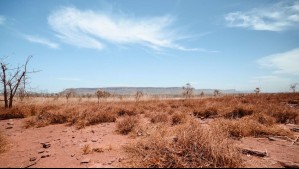 'Hay altas probabilidades que se desarrolle La Niña en el segundo semestre de 2024': Estudio alerta sobre la sequía