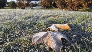 Escaso sol en Talca para este fin de semana: Este día tendrán helada matinal